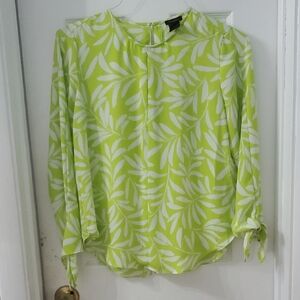 Ann Taylor Green and White Blouse